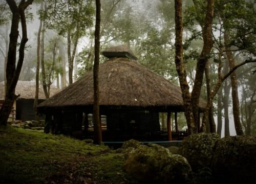 Rewording: K Gudi Wilderness Camp Stories