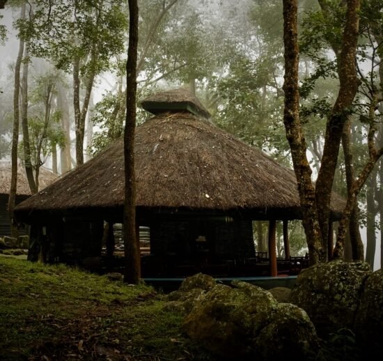 Rewording: K Gudi Wilderness Camp Stories