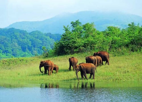 Marvel at the Waterfalls in the Vicinity of Bandipur