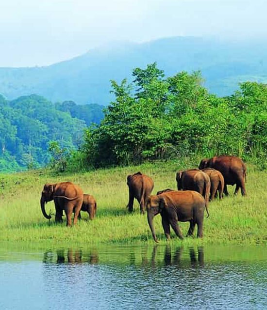 Marvel at the Waterfalls in the Vicinity of Bandipur