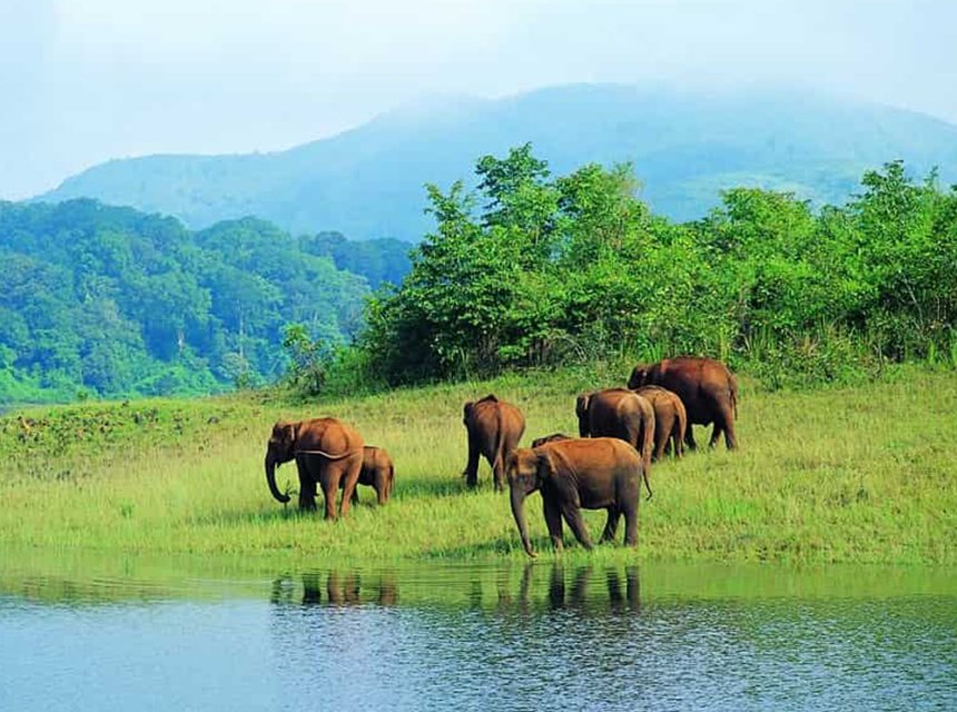 Madumalai National Park